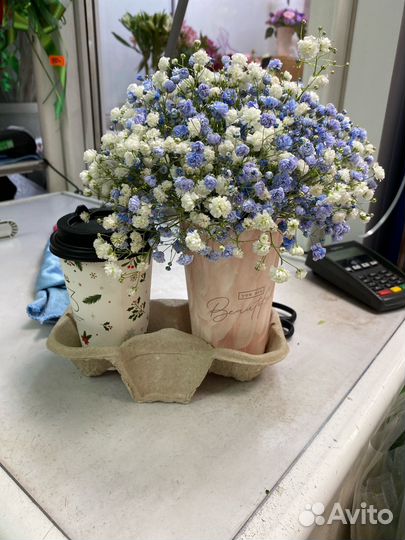 Букет из гипсофилы