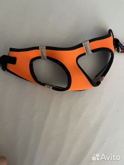 Продам шлейку и поводок для мелких пород