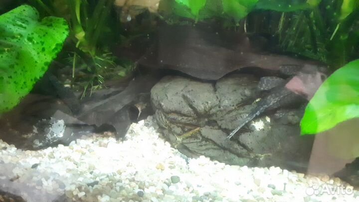 Аквариум 180 литров