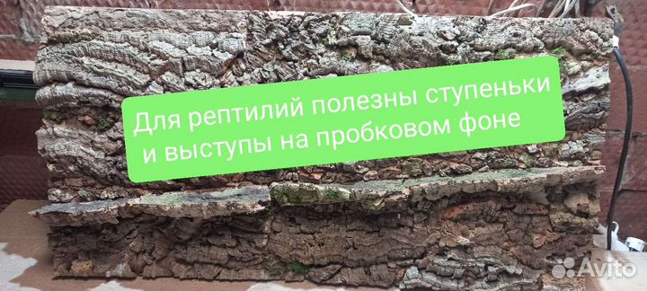 Фон в террариум, задняя стенка, пробковая кора