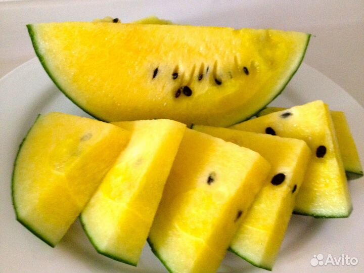 Арбуз желтый Романовский