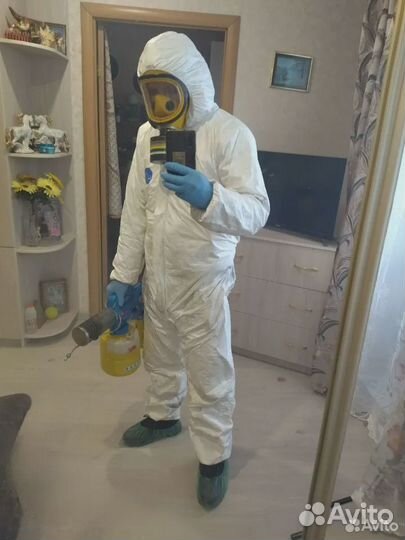 Уничтожение клопов, тараканов