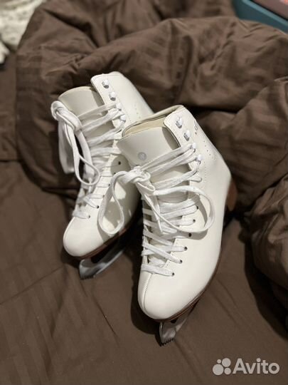 Коньки nordway Anna 37