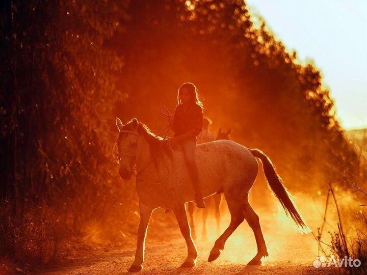 Тур Верхом По Карачаево-Черкессии На 3 Дня