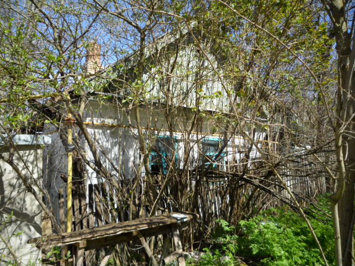 Дом 48,8 м² на участке 17 сот.