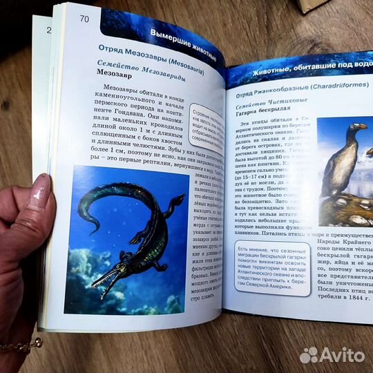 Познавательные книги про Динозавров