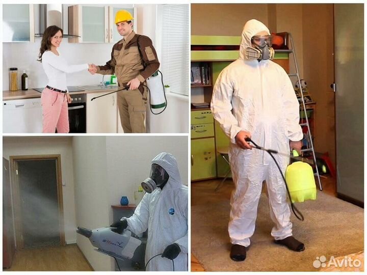 Уничтожение клопов, тараканов, клещей, ос, ртуть