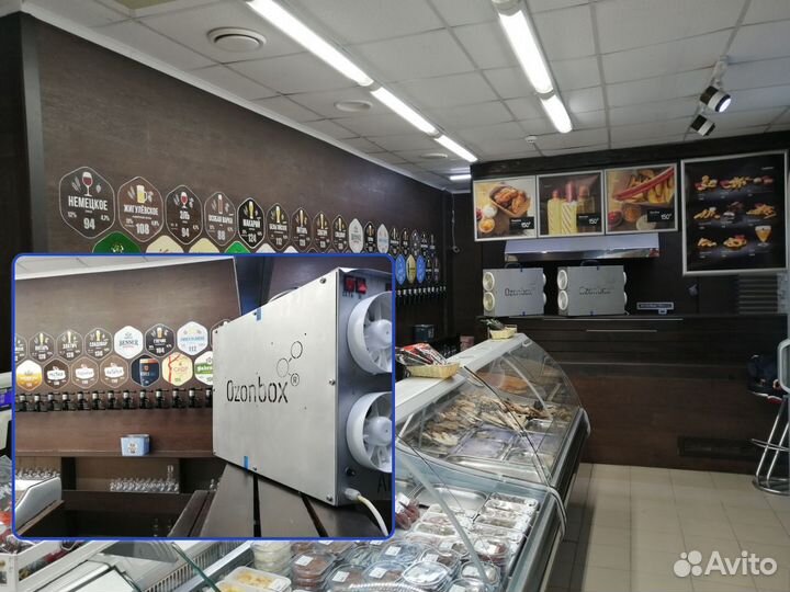 Уничтожение плесени и грибка / Дезинфекция