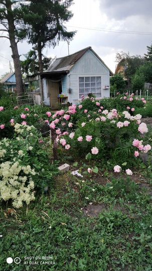 Дача 18 м² на участке 6 сот.