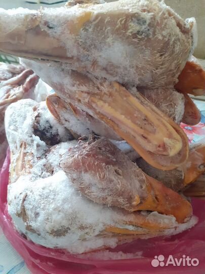 Отходы птичьи для собак и кошек