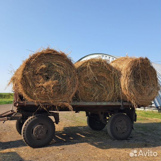 Сено в рулонах