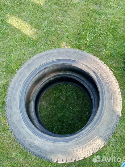 Viatti Brina Nordico V-522 195/65 R15