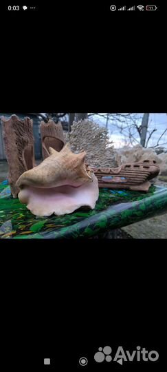 Декор в аквариум