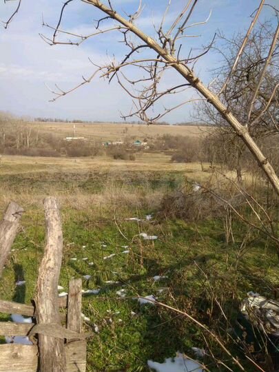 Дом 50 м² на участке 37 сот.