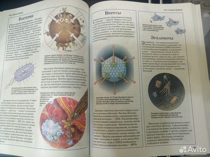 Большая иллюстрированная энциклопедия знаний