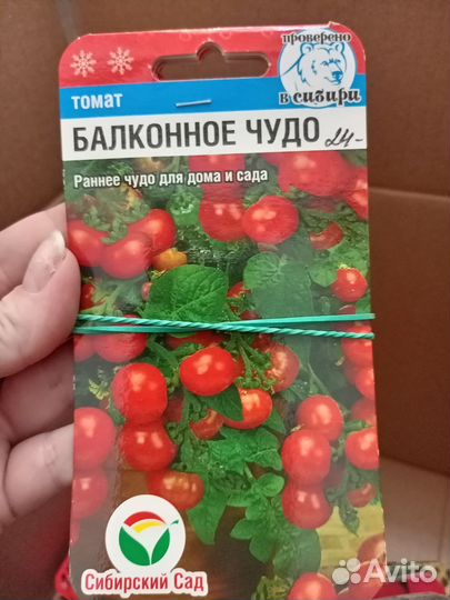 Семена овощей и зелени
