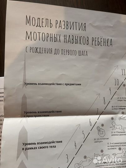 Книга по моторному онтогенезу