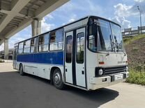 Городской автобус Ikarus 260, 1995