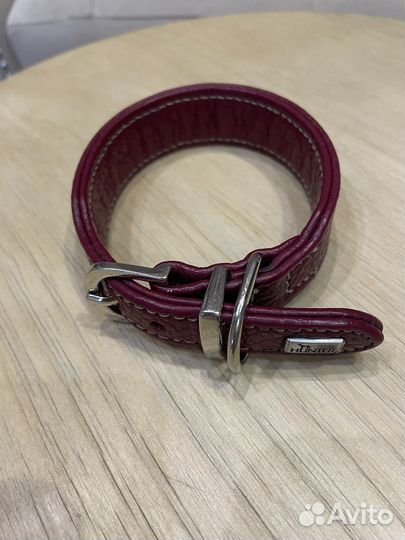 Ошейник для собак