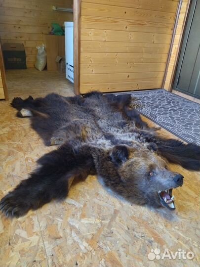 Медвежья шкура (имитация)