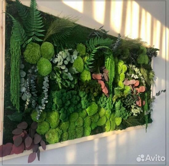 Фитокартина панно из мха фитостена