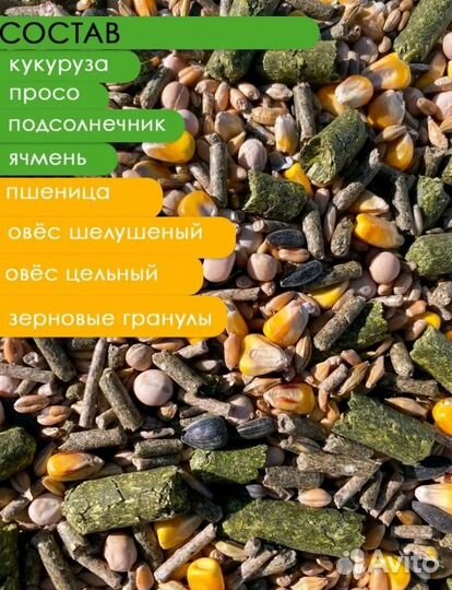Корм для шиншилл
