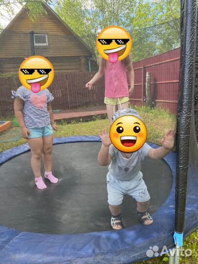 Батут с сеткой 244
