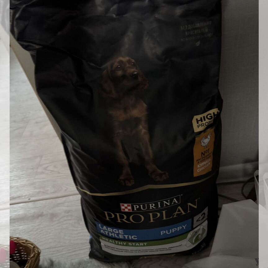 Корм для собак proplan