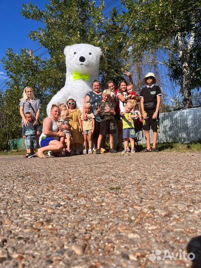 Белый медведь и панда