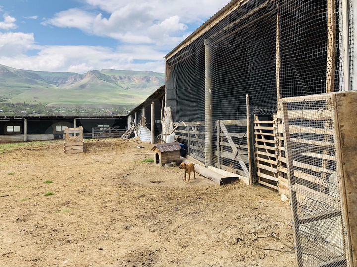 Дом 153,9 м² на участке 35 сот.