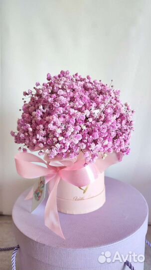 Гипсофила цветная, однотонная. Доставка бесплатно