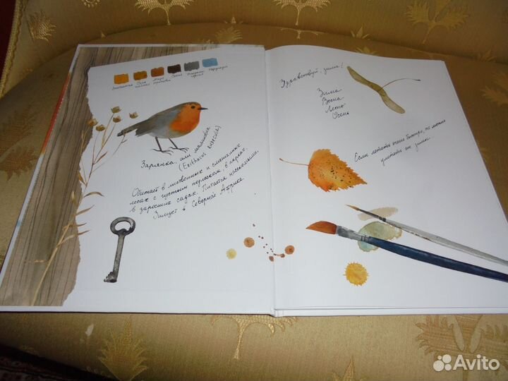 Здравствуй, зима Ольга Фадеева илл авт Речь 2022