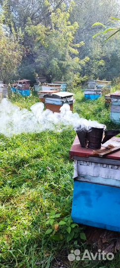 Мед горный(светлый)