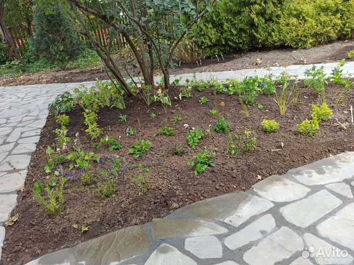 Создание цветников