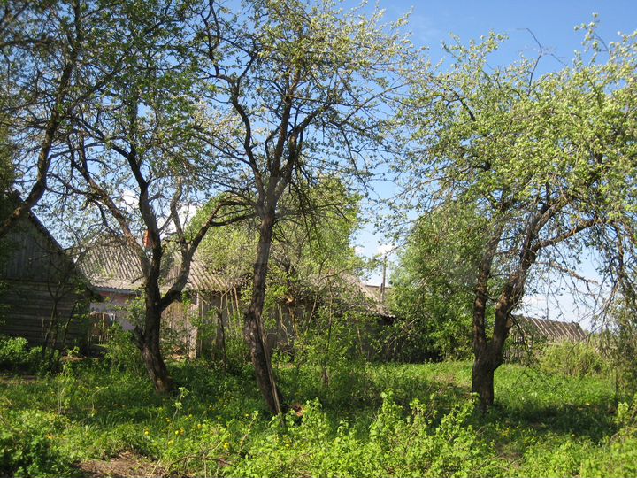 Участок 41 сот. (ИЖС)