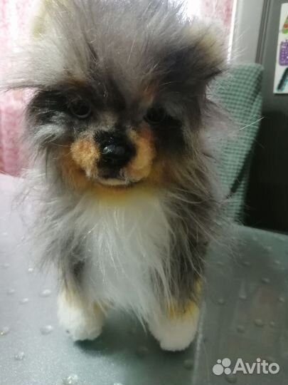 Реалистичный шпиц ручной работы