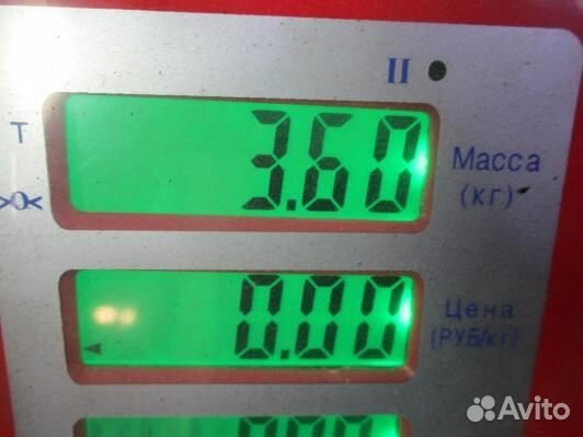 Шкив коленвала демпферный бензиновый BMW X5 E53 (8