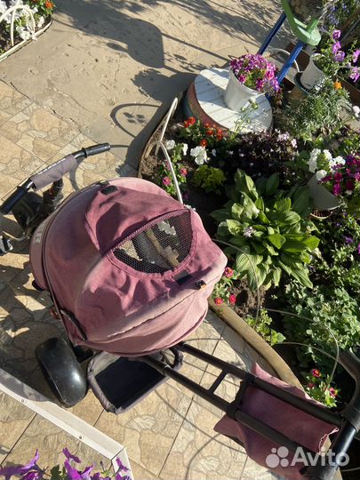 Велосипед-коляска с родительской ручкой