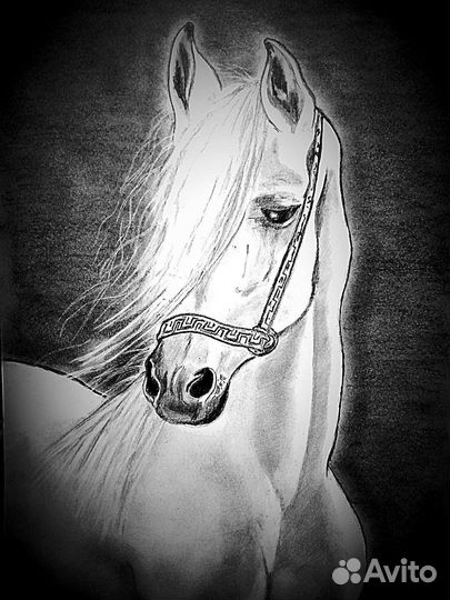 Музыка ветра