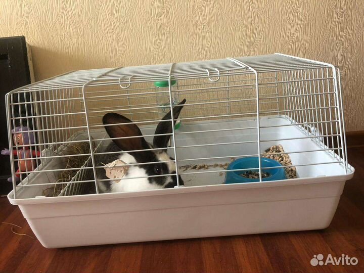 Клетка для грызунов большая