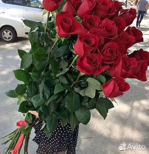 Высокие розы