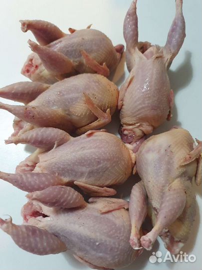 Мясо перепелки