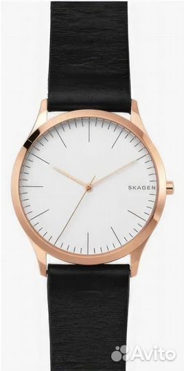 Мужские наручные часы Skagen Leather SKW1102