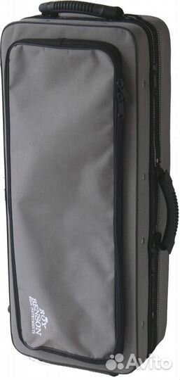 Альт-саксофон Roy Benson AS-202 Eb