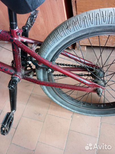 Bmx tech team grasshopper