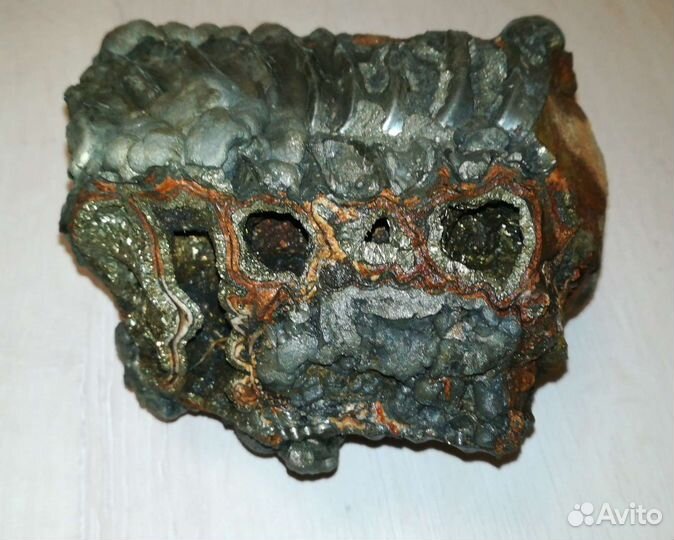 Фрагмент Аммонита в пирите