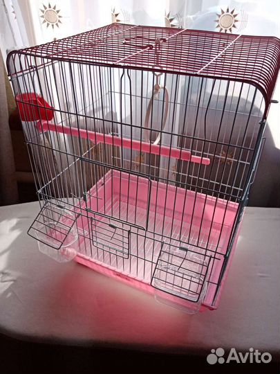 Клетка новая