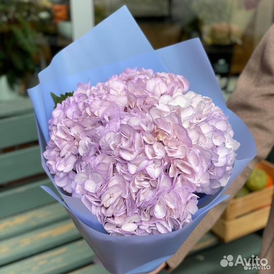 Букет из 3 фиолетовых гортензий