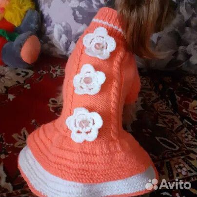 Одежда для питомцев