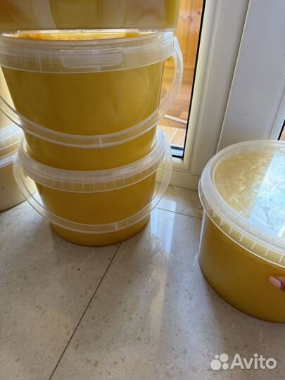 Мед цветочный луговой и разнотравие 3л